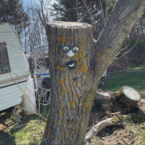 Meet your Posher, Xiao